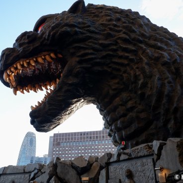 Godzilla Head in Kabukicho (Shinjuku, Tokyo), View from Café Terrace Bonjour in the Hotel Gracery Shinjuku
