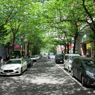 Yaesu (Tokyo), Cherry trees in early summer on Sakura-dori avenue
