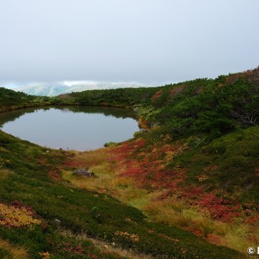 Daisetsuzan (Hokkaido), View on Mangetsu wetland in autumn