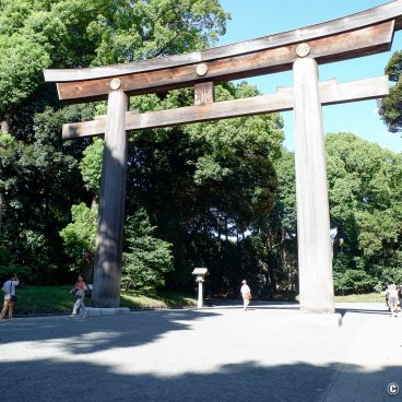 Meiji-jingu, Great torii gate