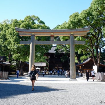Meiji-jingu, Shrine's grounds after renovation for its 100th anniversary