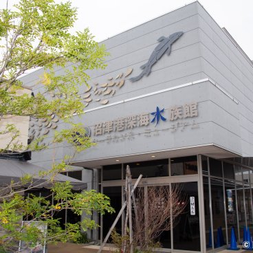 Numazu (Izu Peninsula), Numazu Deep Sea Aquarium