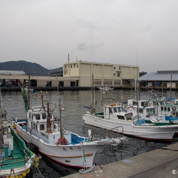 Numazu (Izu Peninsula), Fishing boats at the port