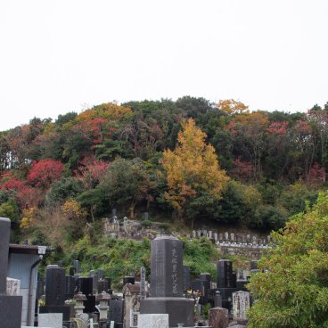 Numazu (Izu Peninsula), View on Mount Kanuki at the end of autumn