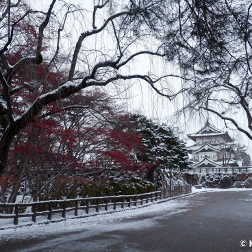 Hirosaki (Aomori), View on the keep in the castle's park in winter
