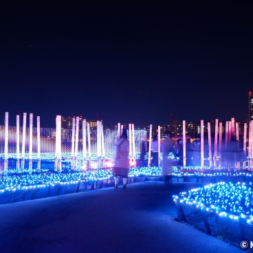 Tokyo Mega Illumination (Shinagawa), LED lights bamboo forest