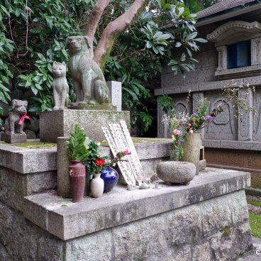Togan-ji (Nagoya), Pet graveyard at the temple