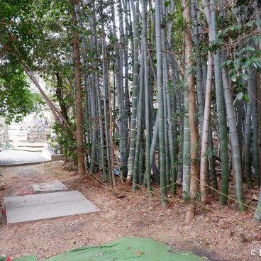 Togan-ji (Nagoya), Alley of the temple lined with bamboo groves