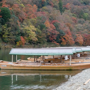 Togetsukyo (Kyoto), Boats on the Katsura River in autumn 2