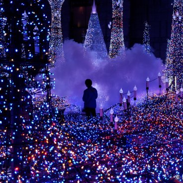 Caretta Shiodome (Tokyo), Christmas illumination in the shopping center 5