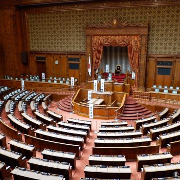 National Diet Building (Tokyo), The Chamber at the House of Councilors