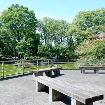 National Diet Building (Tokyo), Japanese style garden in the south side of the garden 2