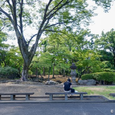 National Diet Building (Tokyo), Japanese style garden in the south side of the garden