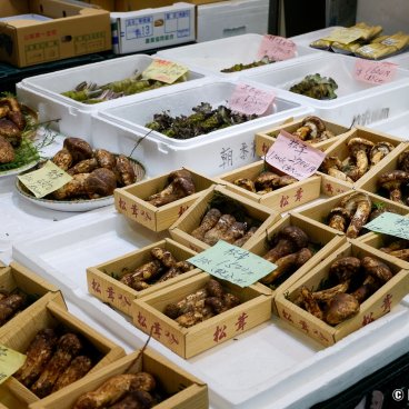 Tsukiji Outer Market (Tokyo), Mushrooms and wasabi roots in Tsukiji Uogashi