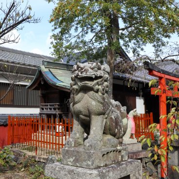Tamatsushima-jinja (Wakayama), Komainu statue in the shrine's grounds