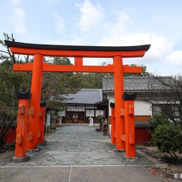 Tamatsushima-jinja (Wakayama), Great torii gate and entrance of the shrine