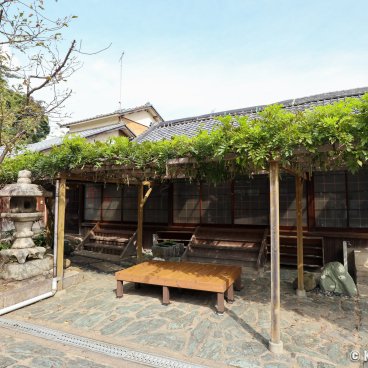 Tamatsushima-jinja (Wakayama), Resting area under a wisteria arbor