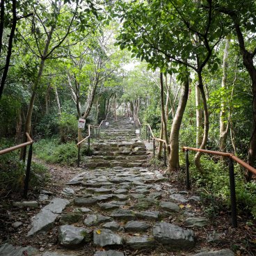 Tamatsushima-jinja (Wakayama), Stairway doubling as a walking path to the top of Mount Tengu