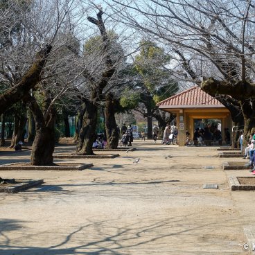 Hanegi Park (Setagaya, Tokyo), Park's grounds at the end of winter
