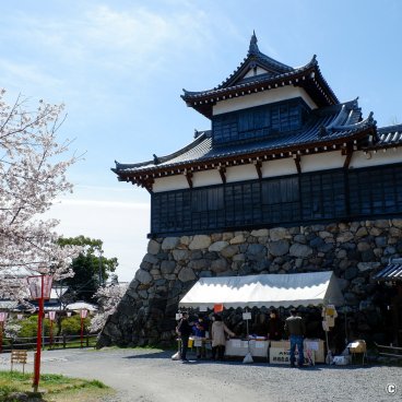 Koriyama Castle (Nara), Yagura turret during the sakura season