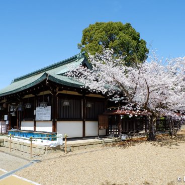 Koriyama Castle (Nara), Yanagisawa-jinja shrine and exhibition of Kingyo goldfishes