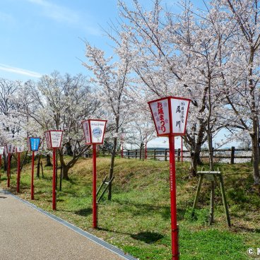 Koriyama Castle (Nara), Castle park's grounds during Yamatokoriyama Oshiro Matsuri festival