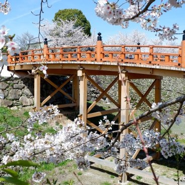 Koriyama Castle (Nara), Gokuraku-bashi bridge and cherry blossoms