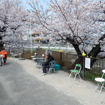 Shingashi-gawa (Kawagoe), Walking path along the river with chairs and tables to rest