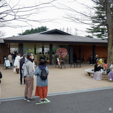 Starbucks Shinjuku Gyoen (Tokyo), Waiting line at the shop during the sakura season