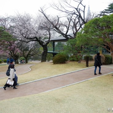 Starbucks Shinjuku Gyoen (Tokyo), Walking path to the shop in the garden