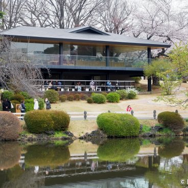 Starbucks Shinjuku Gyoen (Tokyo), View of the shop and its terrace from the garden
