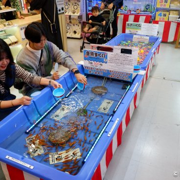 Daiba 1-chome Shotengai (Tokyo), Goldfish scooping stand