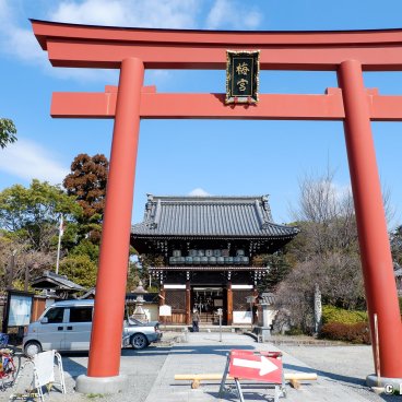 Umenomiya Taisha (Kyoto), Great vermilion torii gate at the entrance of the shrine
