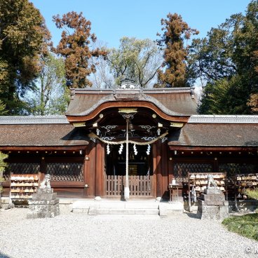Umenomiya Taisha (Kyoto), Main pavilion of the shrine