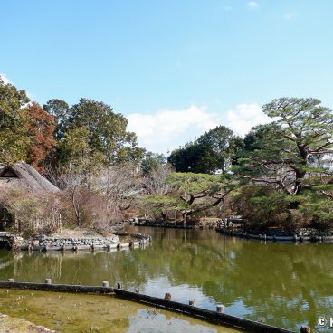 Umenomiya Taisha (Kyoto), Shinen garden