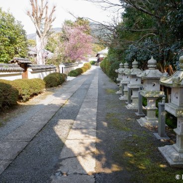 Zuishin-in (Kyoto), View towards Ono Baien garden during the plum tree blossoms season in March