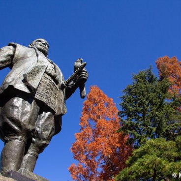 Sumpu Castle Park, Statue of Tokugawa Ieyasu and his falcon 2