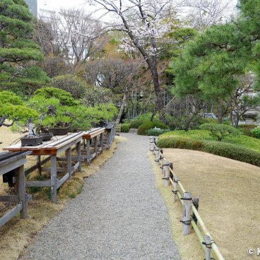 Happo-en (Tokyo), Century-old bonsai in the Japanese garden