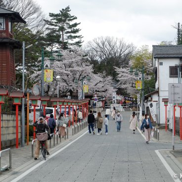 Kita-in (Kawagoe), A street of the city leading towards the temple entrance in spring