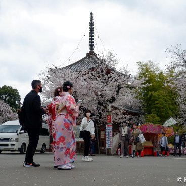 Kita-in (Kawagoe), Visitors of the spring festival in the temple's grounds