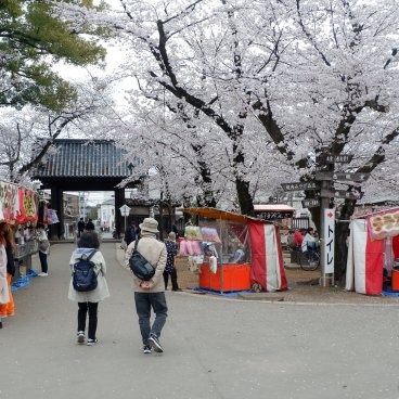 Kita-in (Kawagoe), Food stalls of the spring festival in the temple's grounds
