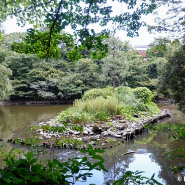 Todai (Tokyo), Sanshiro Pond in summer