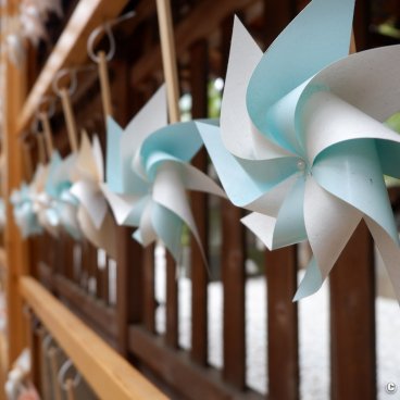 Kawagoe Hikawa-jinja, Pinwheels at the shrine