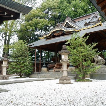 Kawagoe Hikawa-jinja, Main pavilion of the shrine 2