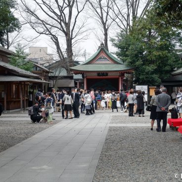 Kawagoe Hikawa-jinja, The shrine's grounds on a weekend