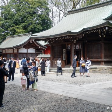 Kawagoe Hikawa-jinja, The shrine's grounds on a weekend 2