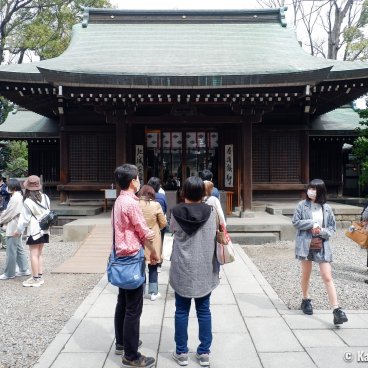 Kawagoe Hikawa-jinja, Central pavilion of the shrine