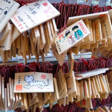 Kawagoe Hikawa-jinja, Ema plates at the shrine