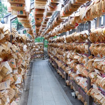 Kawagoe Hikawa-jinja, Tunnel of Ema plates at the shrine