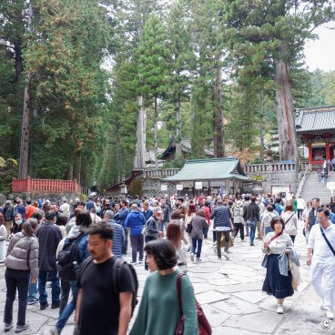 Toshogu (Nikko), Tourists in the mausoleum's enclosure (Nov. 2023)